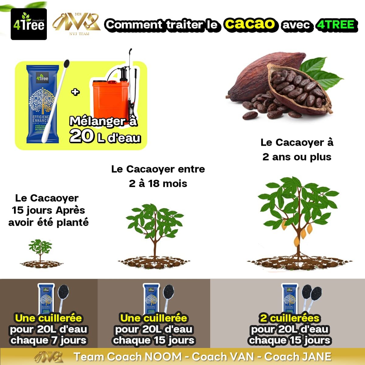 Cacaoyer