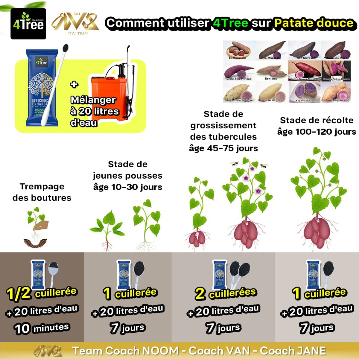 Patate douce