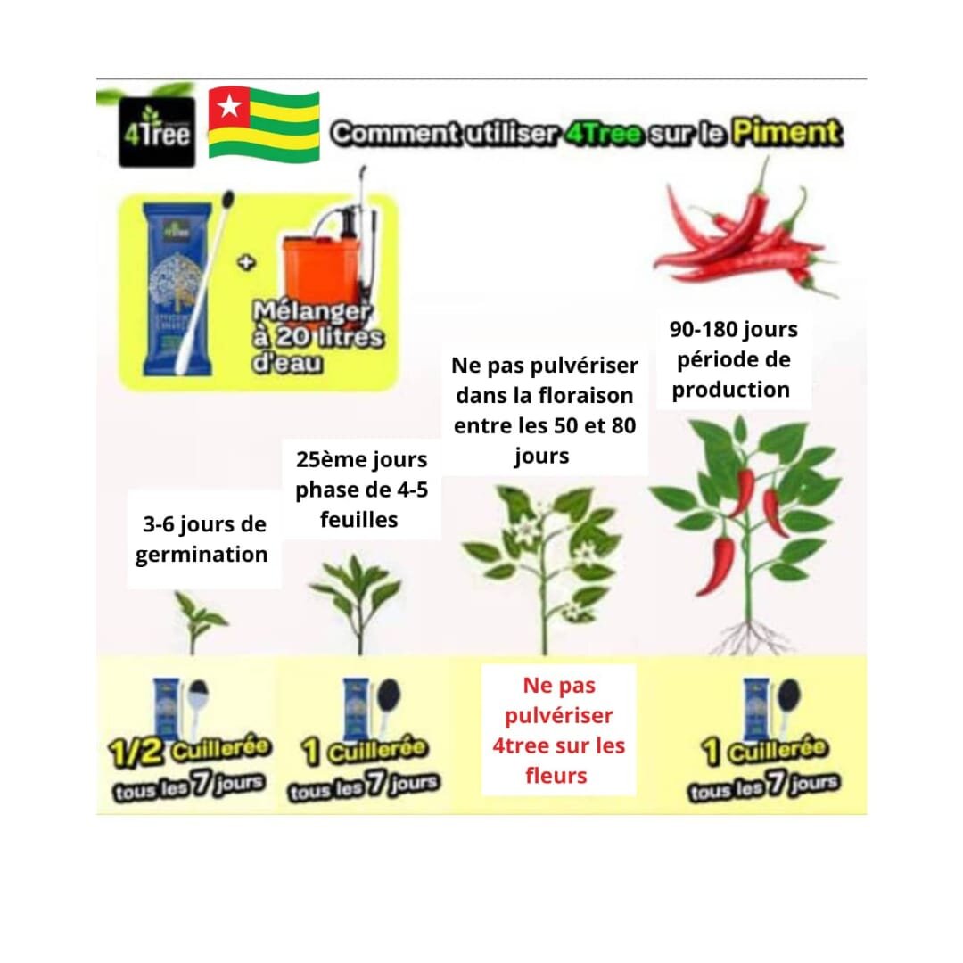 Piment