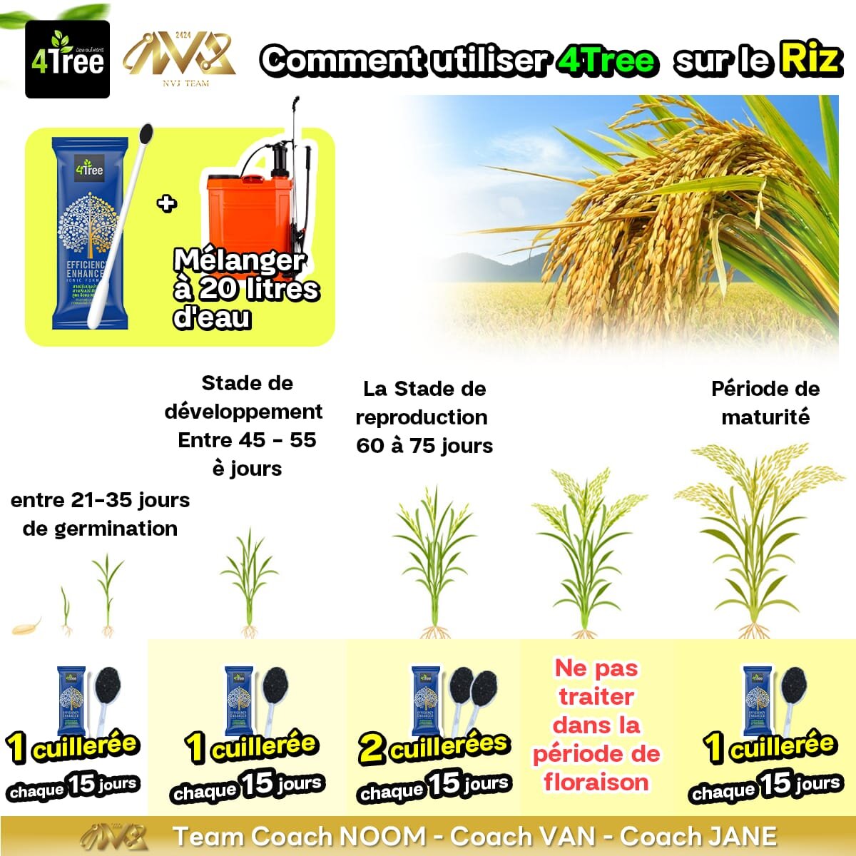 Riz