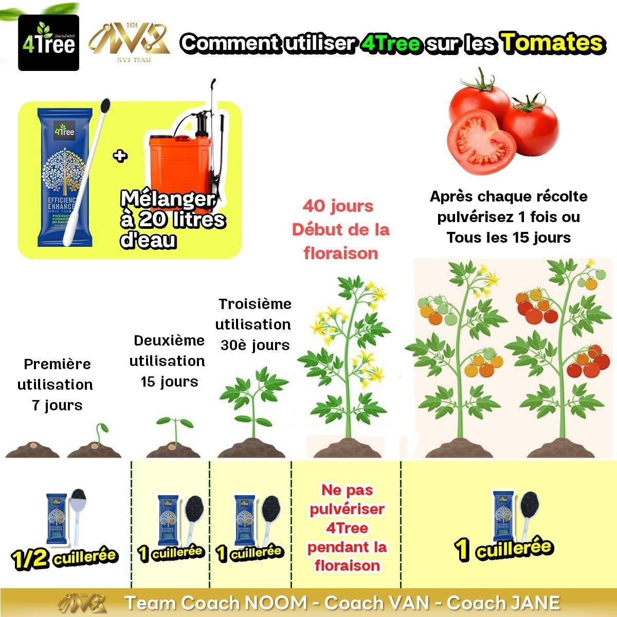 Tomate