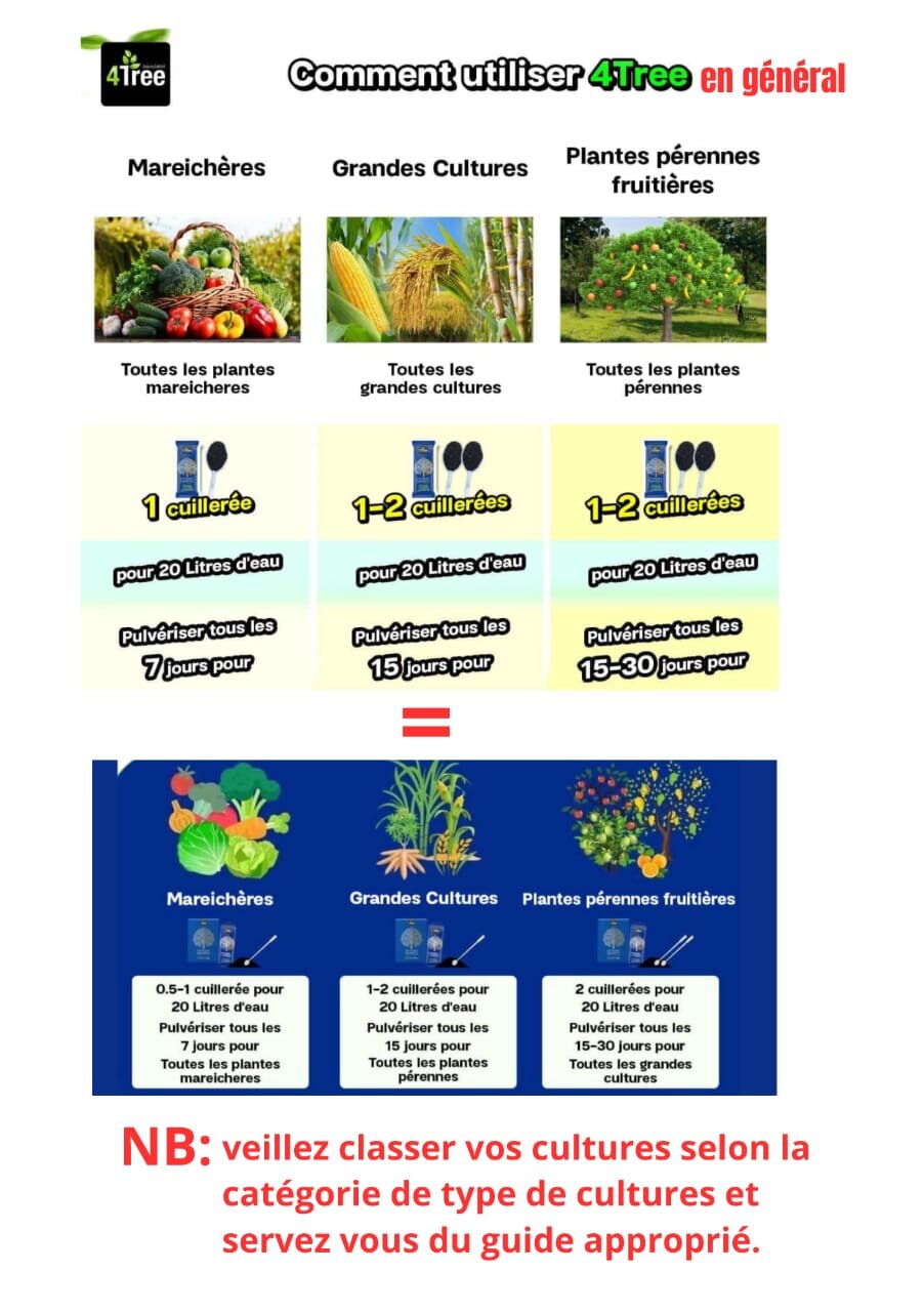 Guide d'application 4Tree Booster
